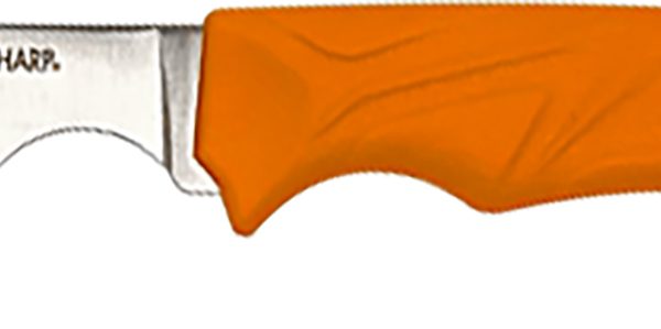 AccuSharp 731C Caping  Fixed Caping 3.50" Stainless Steel Blade/Blaze Orange Ergonomic Anti-Slip Handle