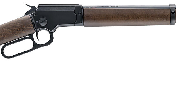 Chiappa Firearms 920432 LA322 Carbine Takedown 22 LR 15+1 18.50" Threaded, Blued Barrel/Rec, Pistol Grip Style Stock, Adj. Sights, Dovetail Base