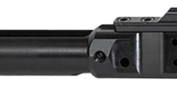 Odin Works ACC308BCG Bolt Carrier Group  Black Nitride AR-10
