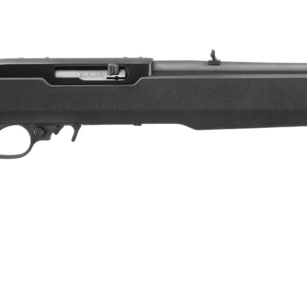 RUGER 10/22 22LR BLK/SYN X22 18" TB