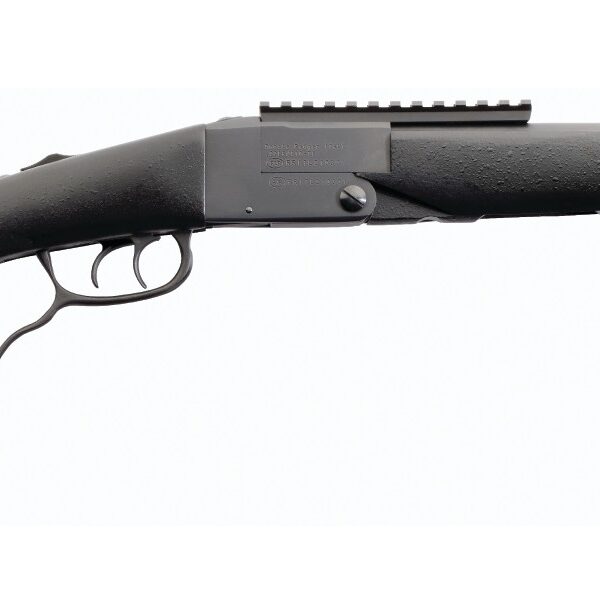 CHIAPPA FIREARMS DOUBLE BADGER DARK 22/410 20"