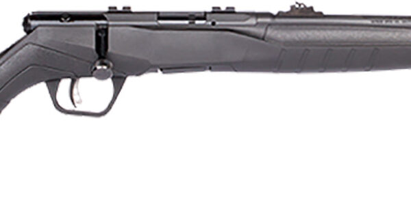SAV B22F COMP 22LR BA 10RD SYN