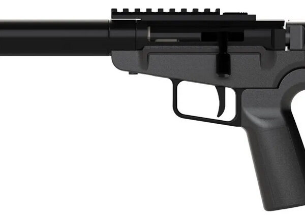 DARK MOUNTAIN ARMS STOW AWAY 9MM 5 TB