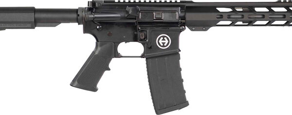 HIPOINT PISTOL HP-15 300 AAC - 10.5" 30RD BLADE BRACE BLACK