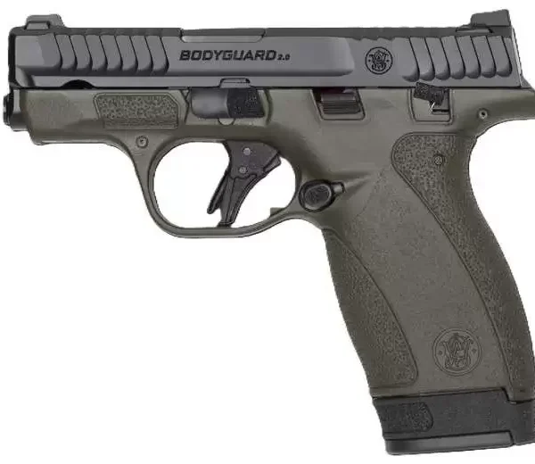 Smith & Wesson M&P Bodyguard 2.0 380ACP 2.75" TS ODG 1/10 /1/12