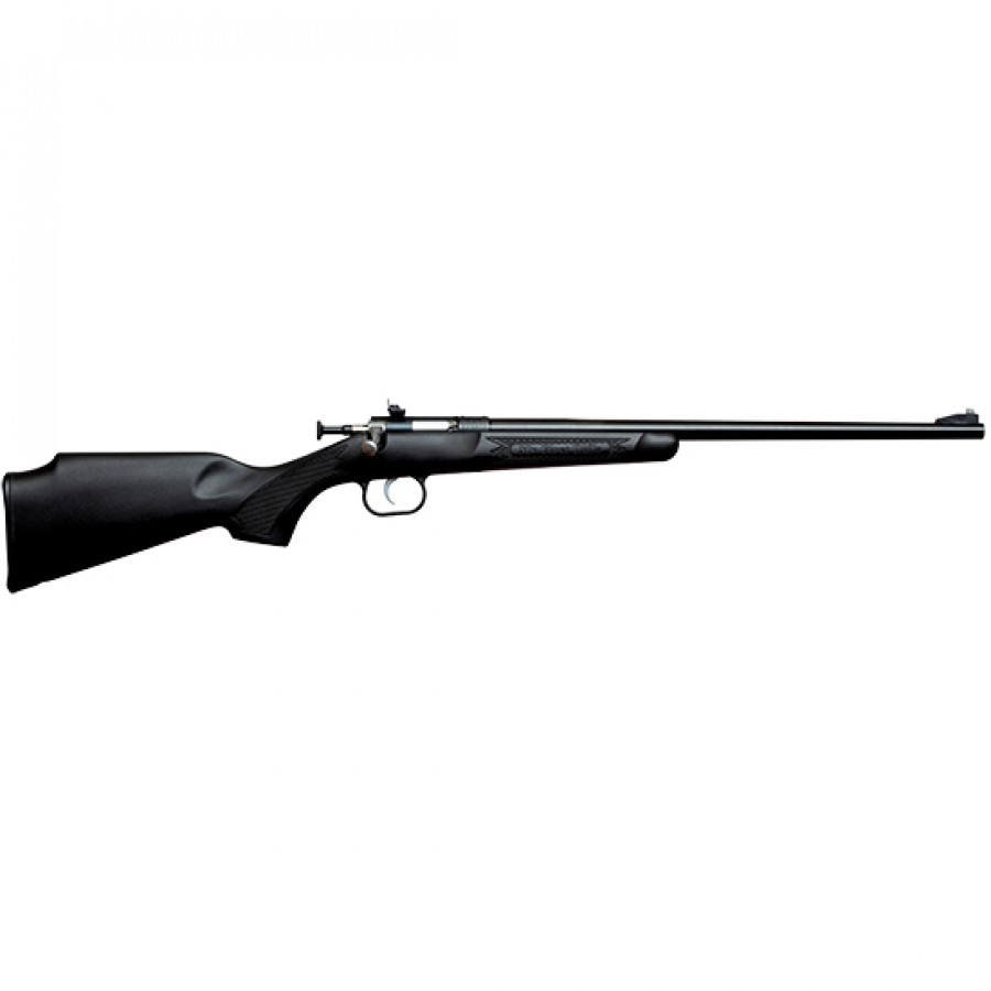 Crickett Single Shot Synthetic .22lr