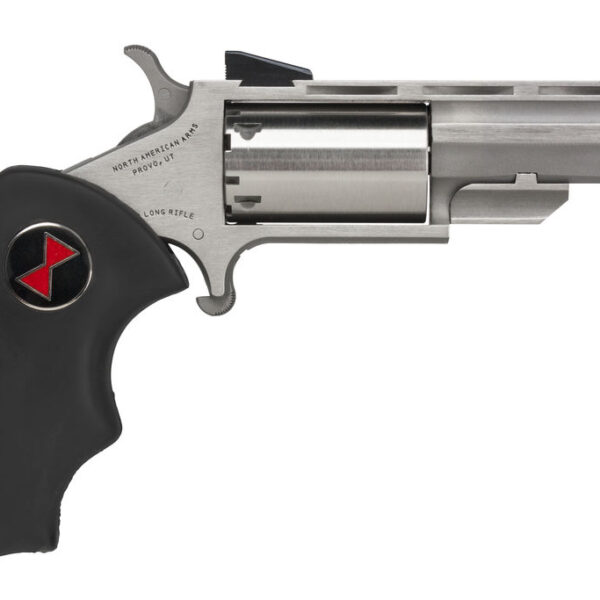 NAM BLACK WIDOW 22M 2SS FS