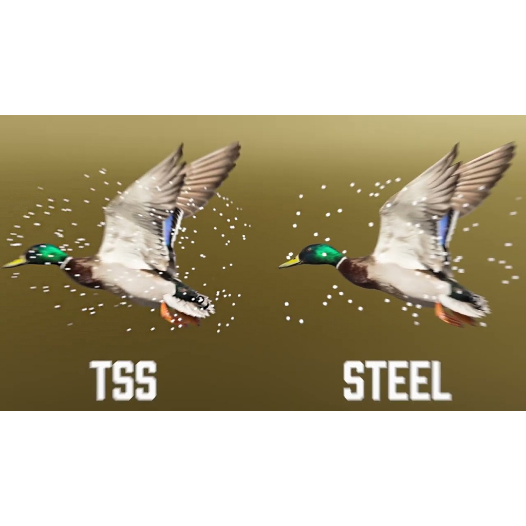 Winchester 20 Gauge – 10rd