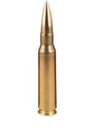 308 Caliber
